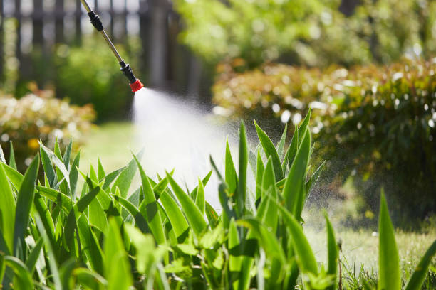 24/7 Emergency Mosquito Control experts in Espy, PA